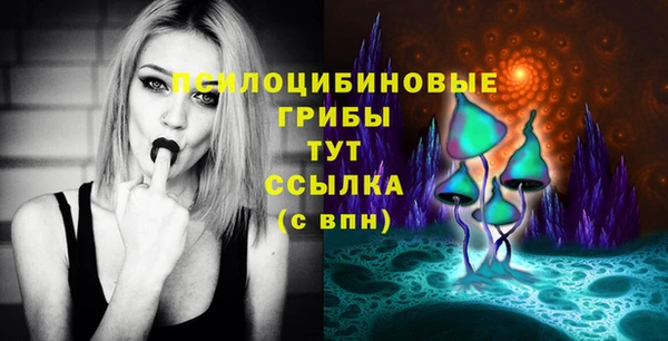 mix Каменка