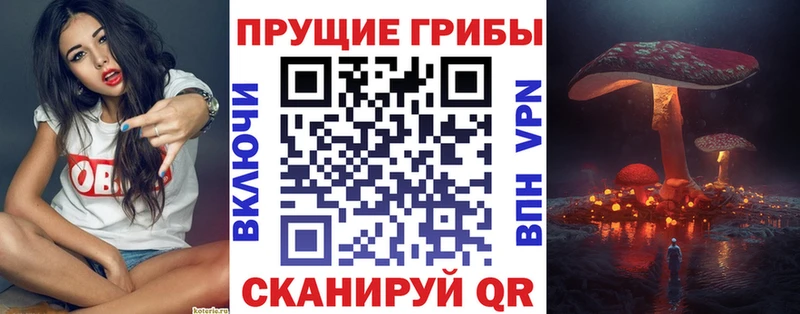 Галлюциногенные грибы Magic Shrooms Алексин